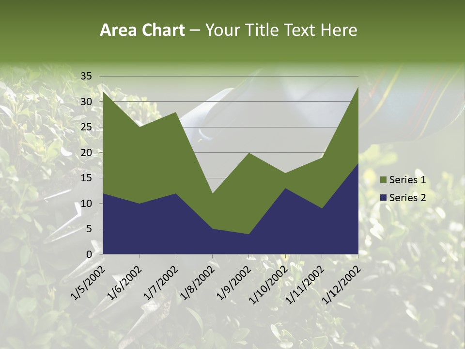 Boxwood Beech Working PowerPoint Template