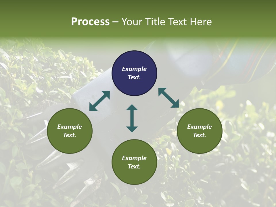 Boxwood Beech Working PowerPoint Template