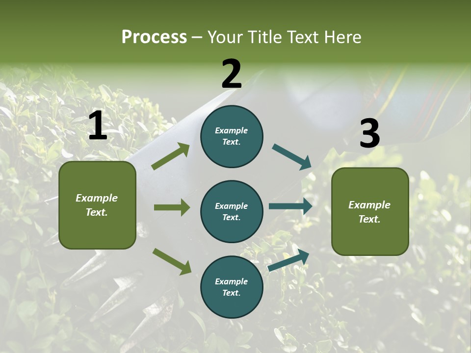 Boxwood Beech Working PowerPoint Template