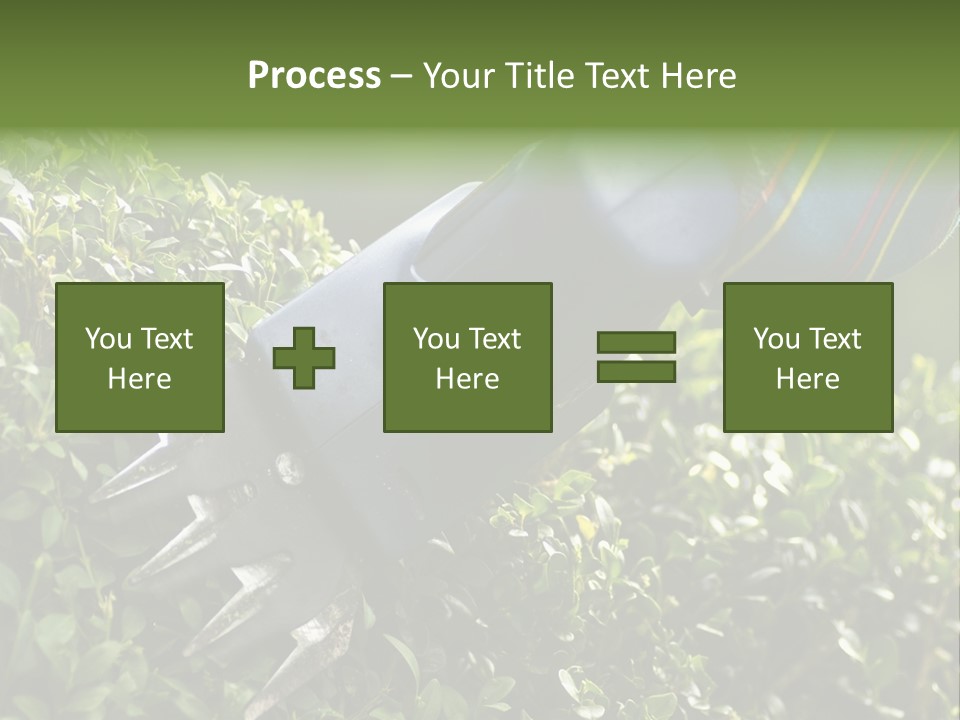 Boxwood Beech Working PowerPoint Template