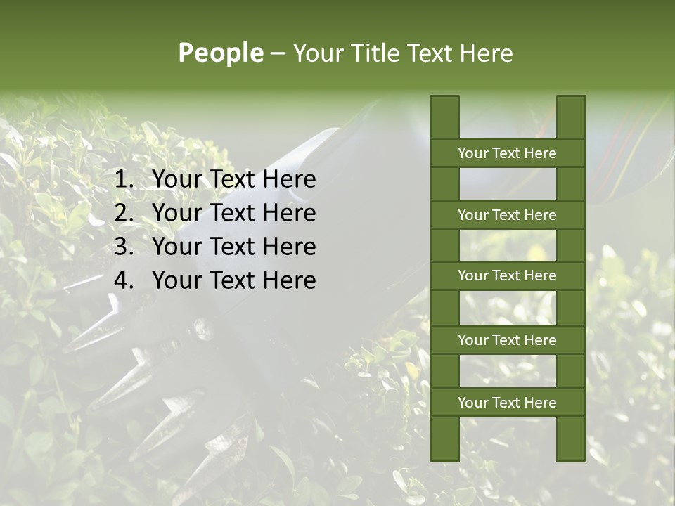 Boxwood Beech Working PowerPoint Template