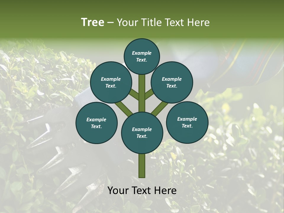 Boxwood Beech Working PowerPoint Template