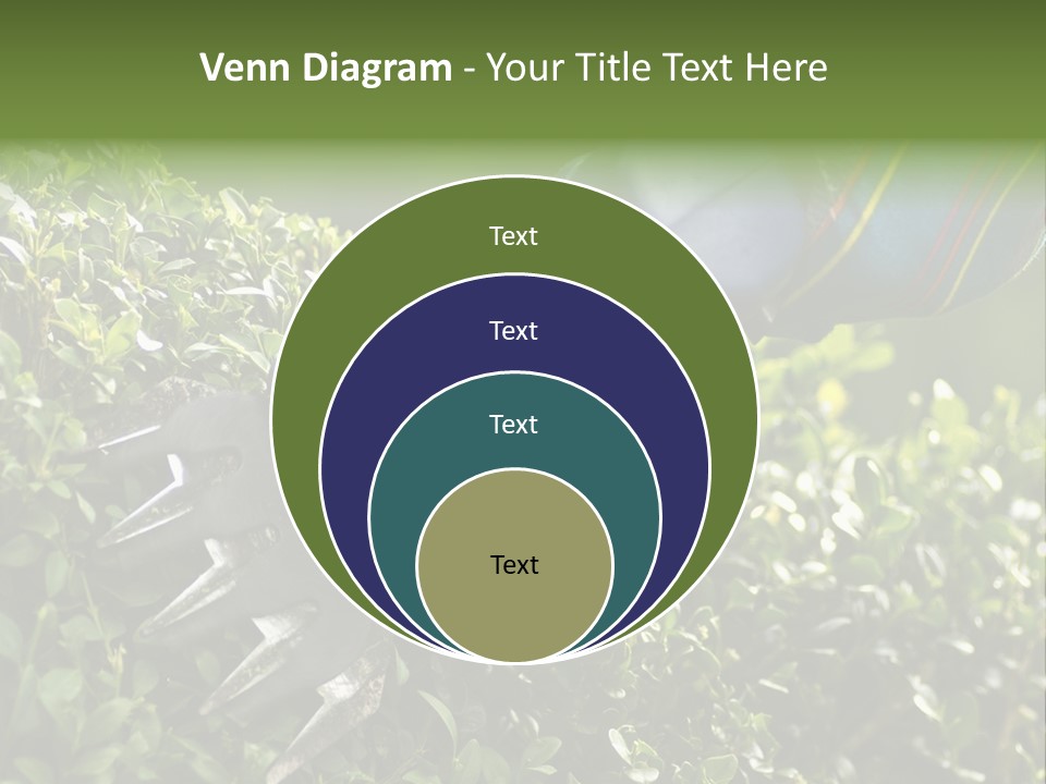 Boxwood Beech Working PowerPoint Template
