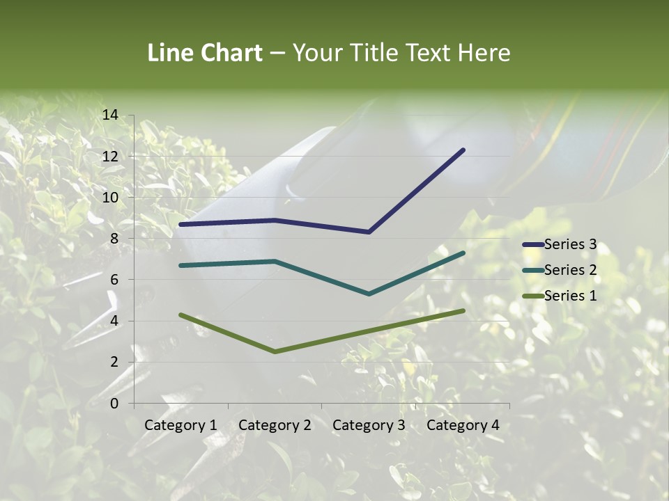 Boxwood Beech Working PowerPoint Template