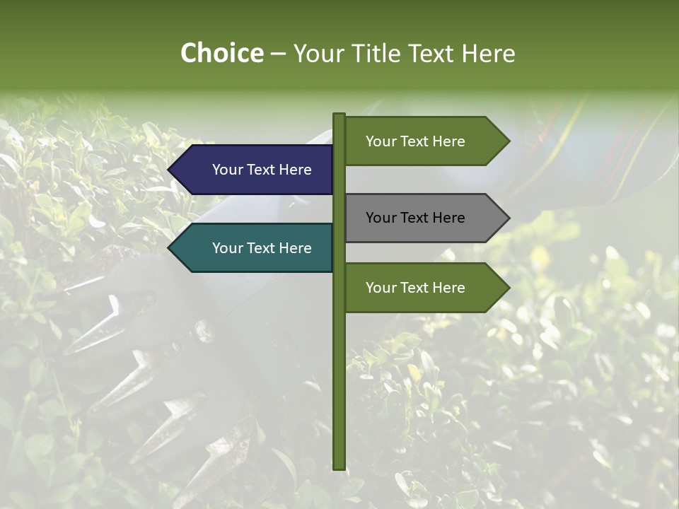 Boxwood Beech Working PowerPoint Template