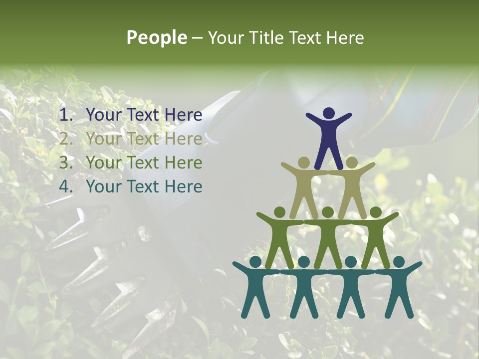 Boxwood Beech Working PowerPoint Template