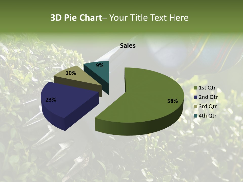 Boxwood Beech Working PowerPoint Template