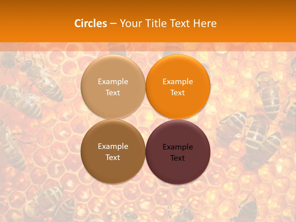 Hexagon Backgrounds Beeswax PowerPoint Template