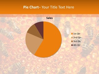 Hexagon Backgrounds Beeswax PowerPoint Template