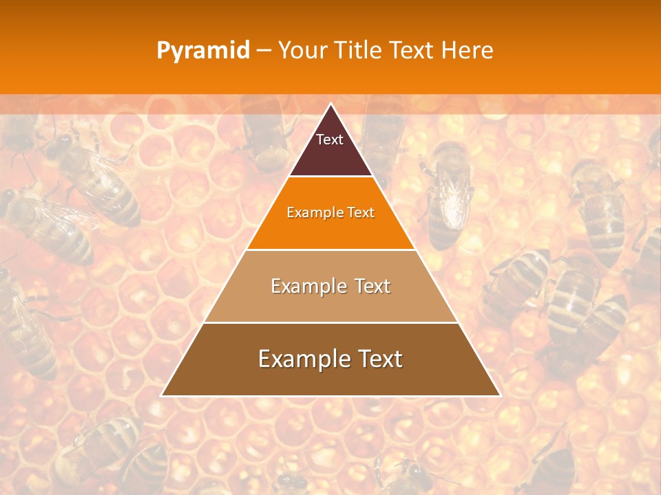 Hexagon Backgrounds Beeswax PowerPoint Template