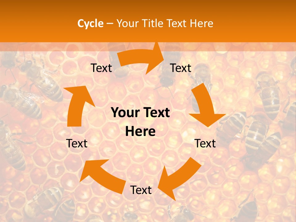 Hexagon Backgrounds Beeswax PowerPoint Template