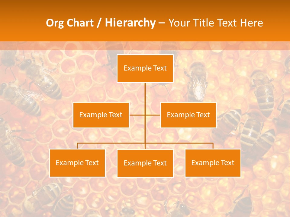 Hexagon Backgrounds Beeswax PowerPoint Template