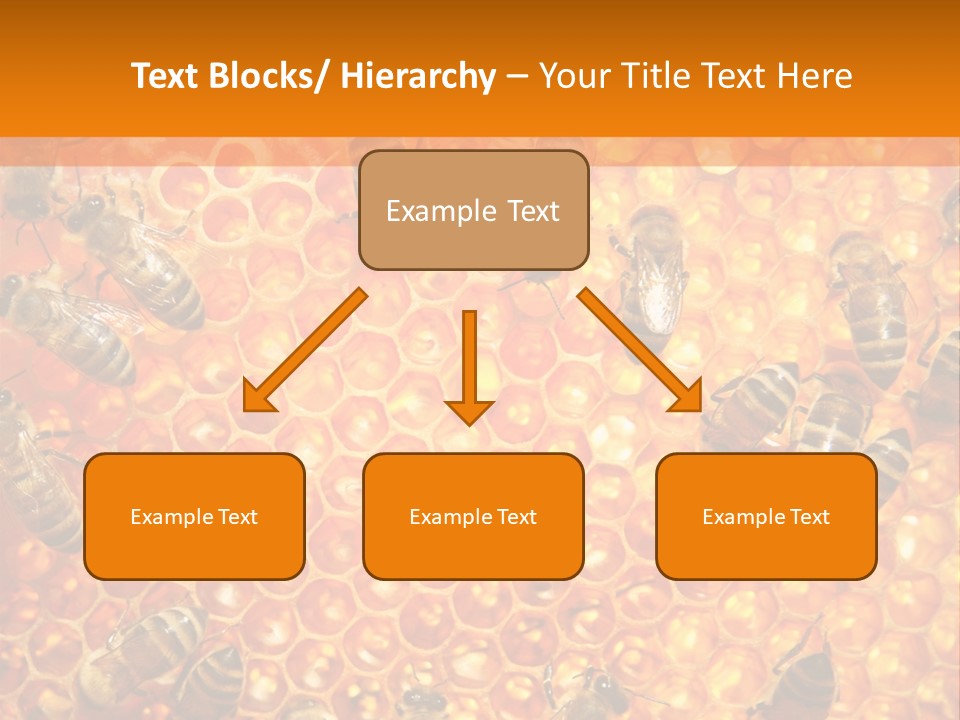 Hexagon Backgrounds Beeswax PowerPoint Template