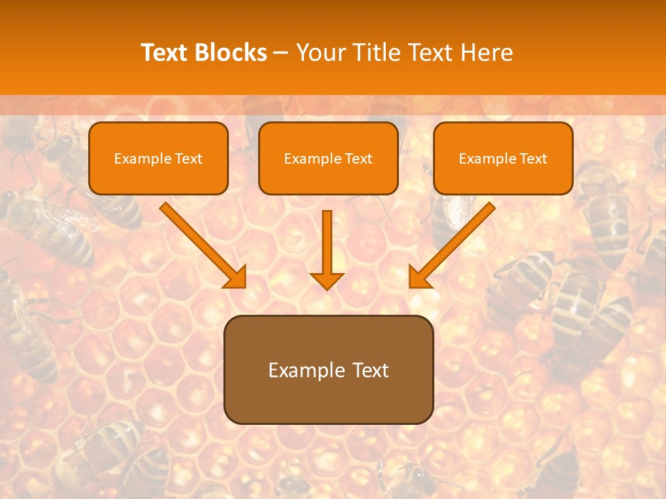 Hexagon Backgrounds Beeswax PowerPoint Template