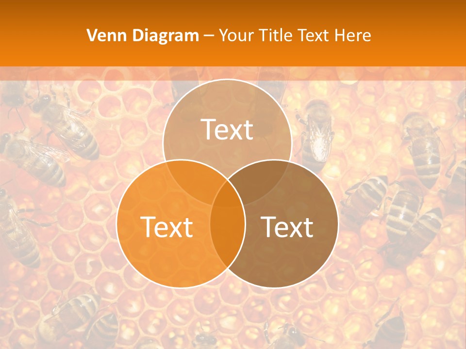 Hexagon Backgrounds Beeswax PowerPoint Template