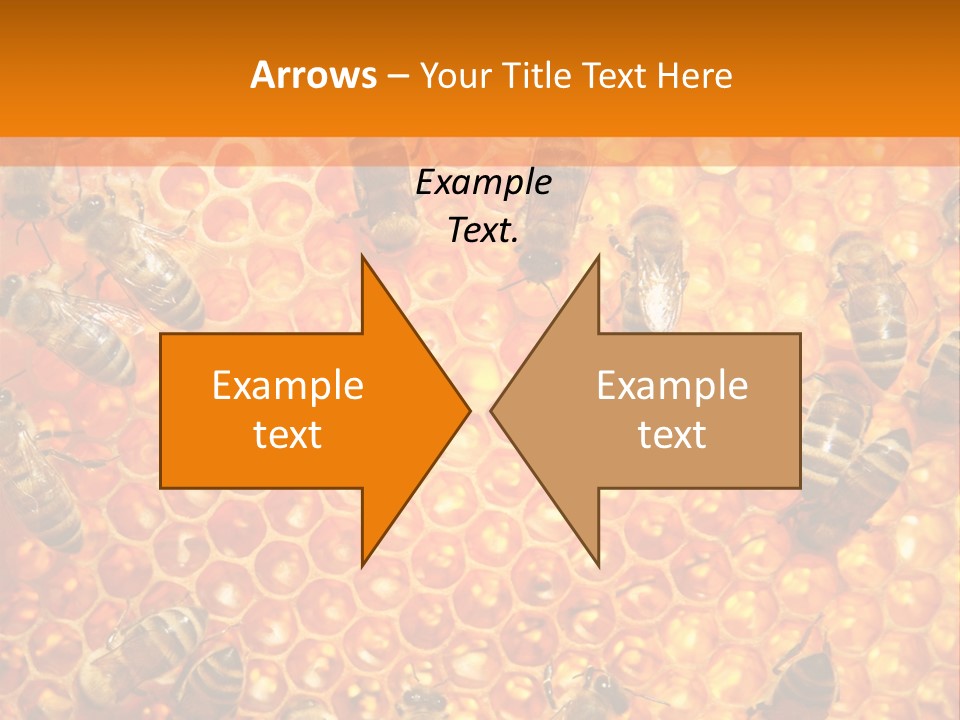 Hexagon Backgrounds Beeswax PowerPoint Template