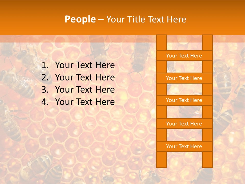 Hexagon Backgrounds Beeswax PowerPoint Template