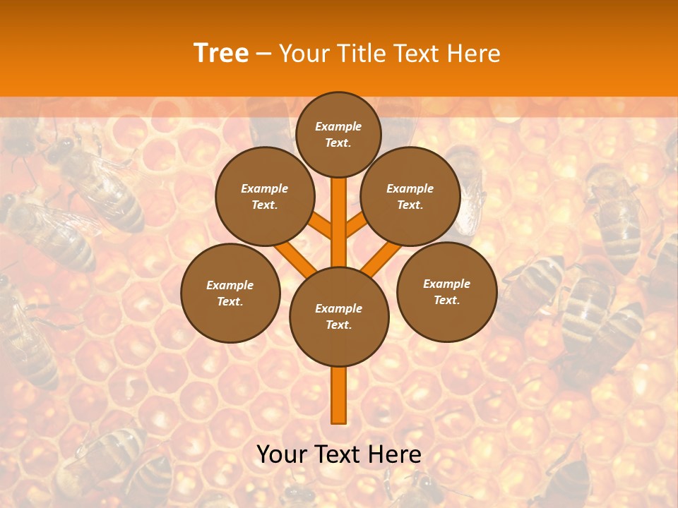 Hexagon Backgrounds Beeswax PowerPoint Template