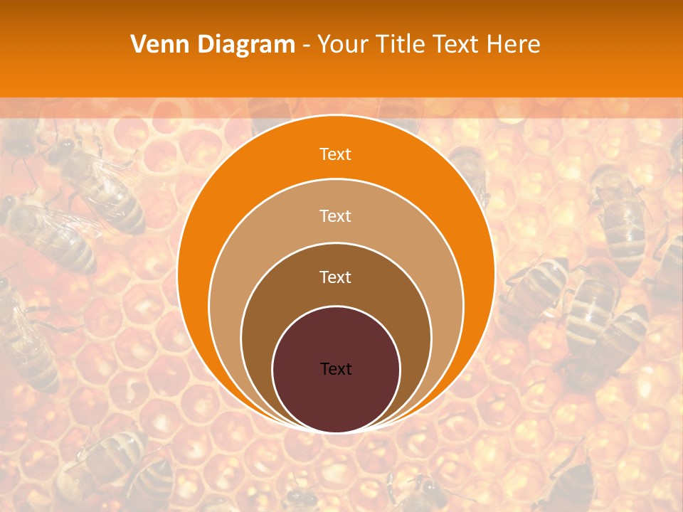 Hexagon Backgrounds Beeswax PowerPoint Template
