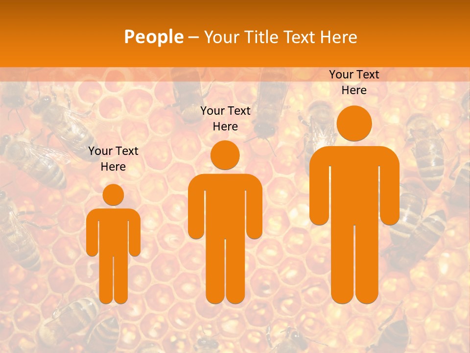 Hexagon Backgrounds Beeswax PowerPoint Template