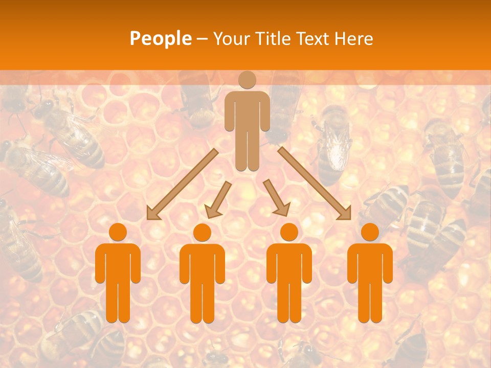 Hexagon Backgrounds Beeswax PowerPoint Template