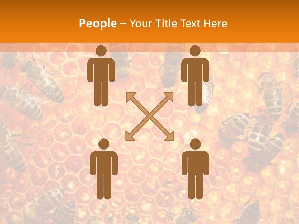 Hexagon Backgrounds Beeswax PowerPoint Template