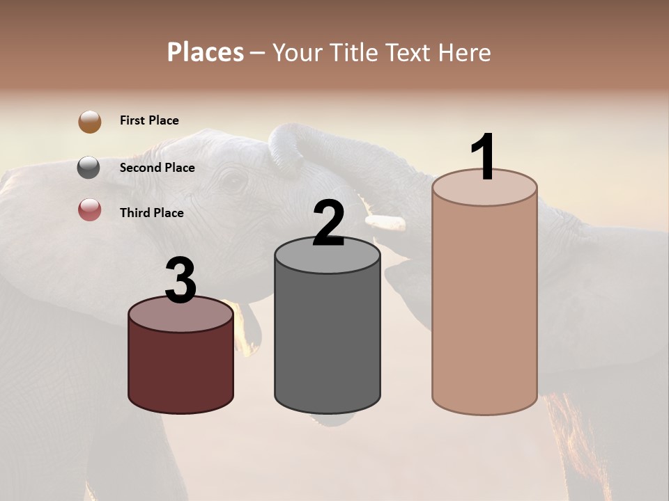 Animal Gentleness Gentle PowerPoint Template