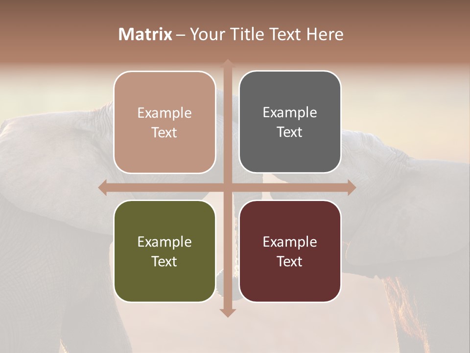 Animal Gentleness Gentle PowerPoint Template