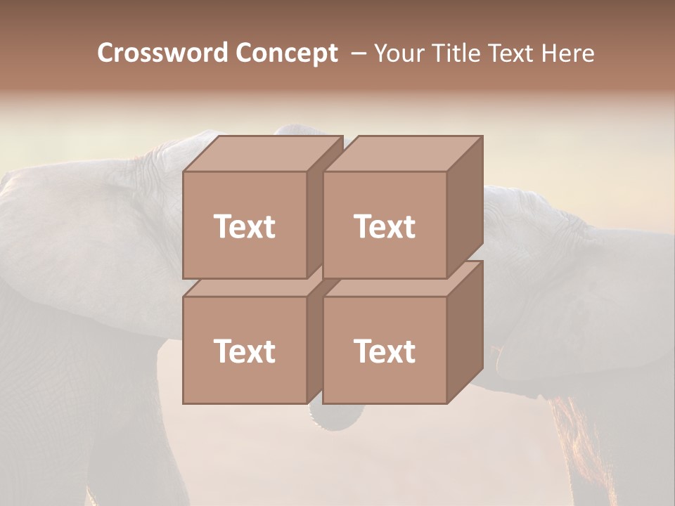Animal Gentleness Gentle PowerPoint Template