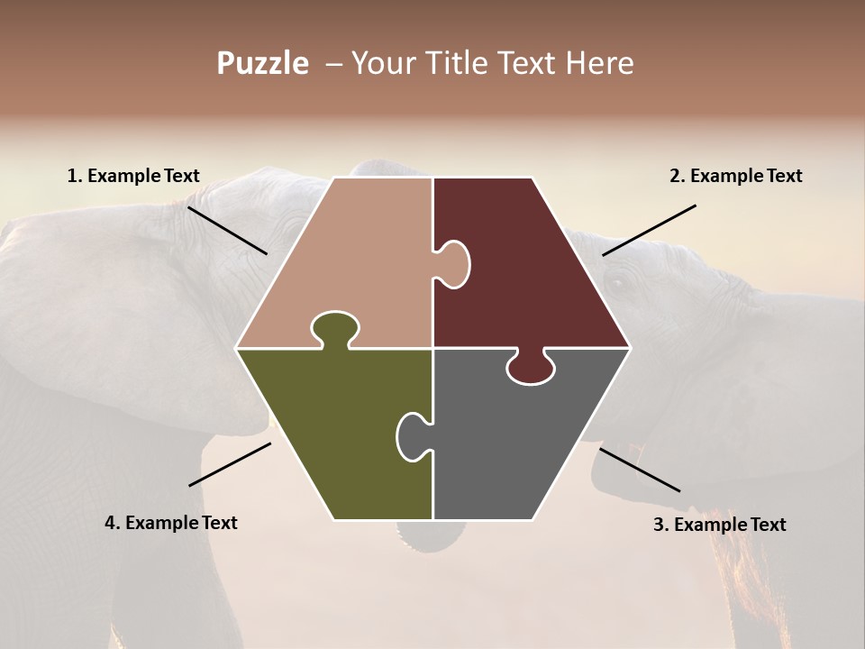 Animal Gentleness Gentle PowerPoint Template