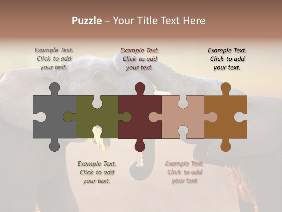 Animal Gentleness Gentle PowerPoint Template