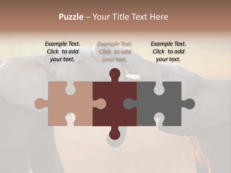 Animal Gentleness Gentle PowerPoint Template