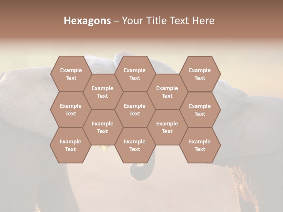 Animal Gentleness Gentle PowerPoint Template