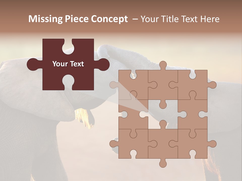 Animal Gentleness Gentle PowerPoint Template