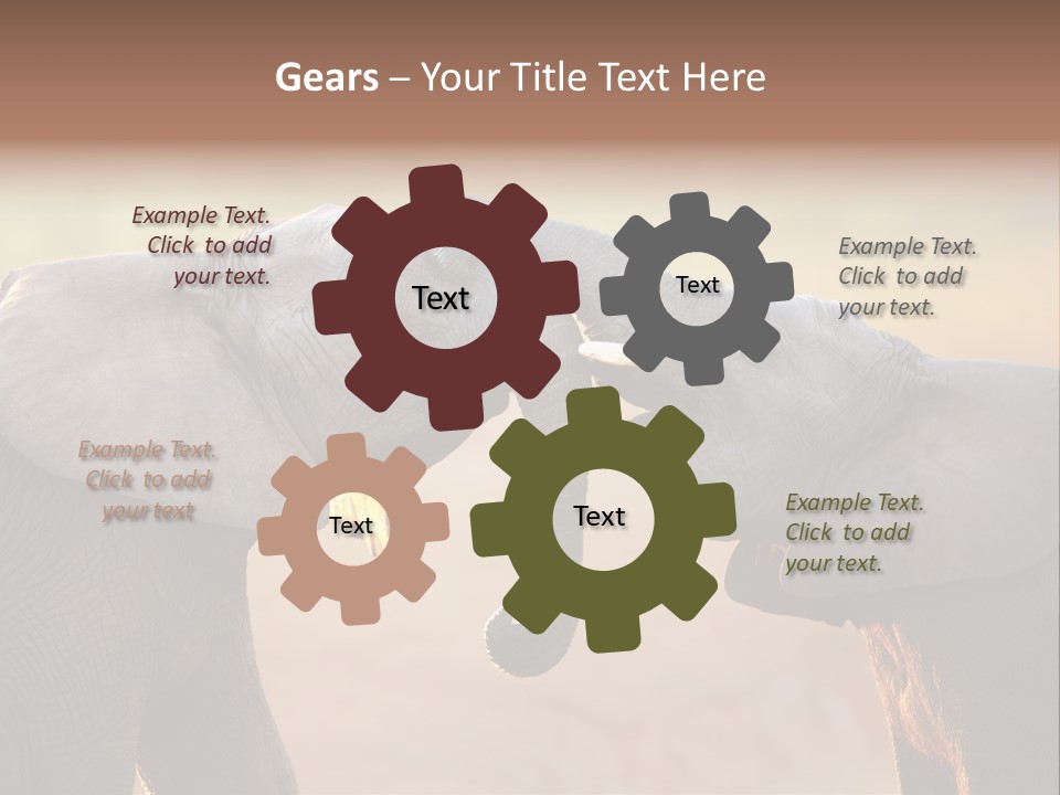 Animal Gentleness Gentle PowerPoint Template