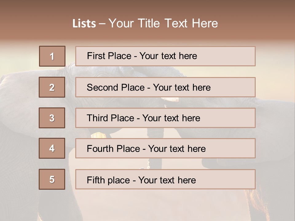Animal Gentleness Gentle PowerPoint Template