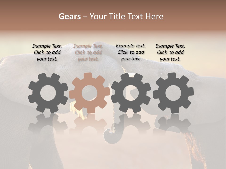 Animal Gentleness Gentle PowerPoint Template