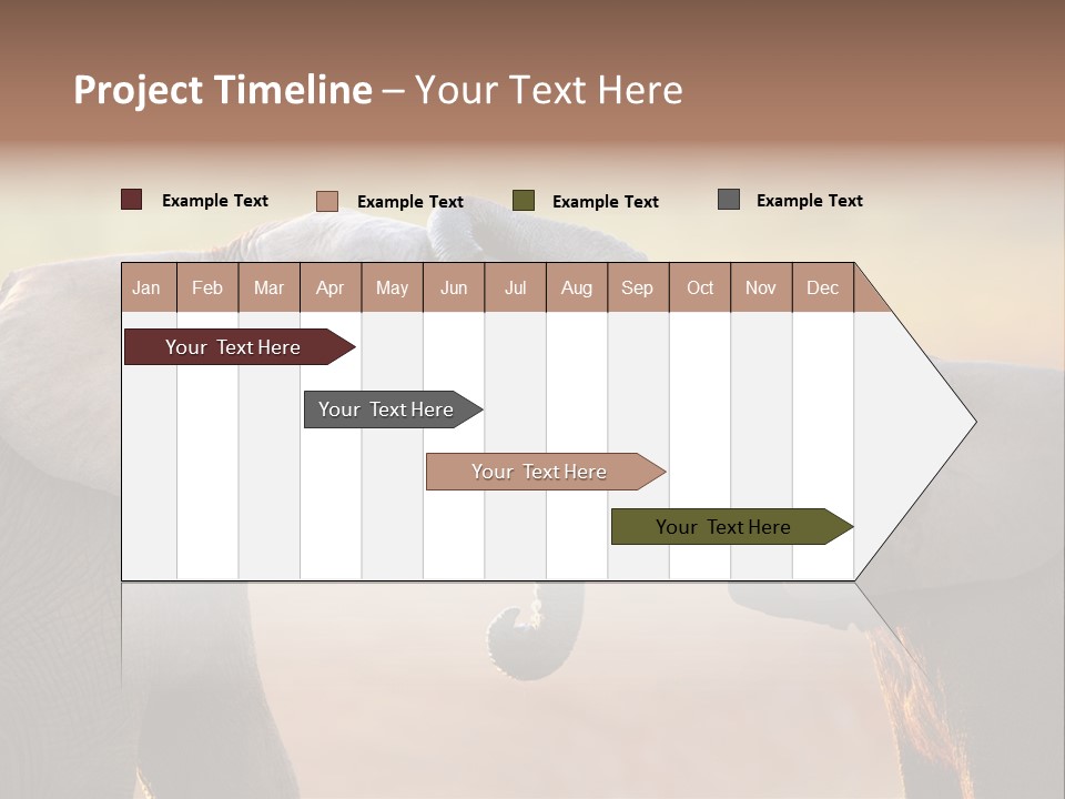 Animal Gentleness Gentle PowerPoint Template