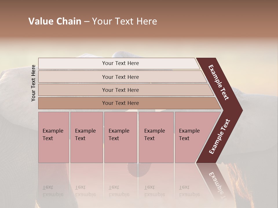 Animal Gentleness Gentle PowerPoint Template