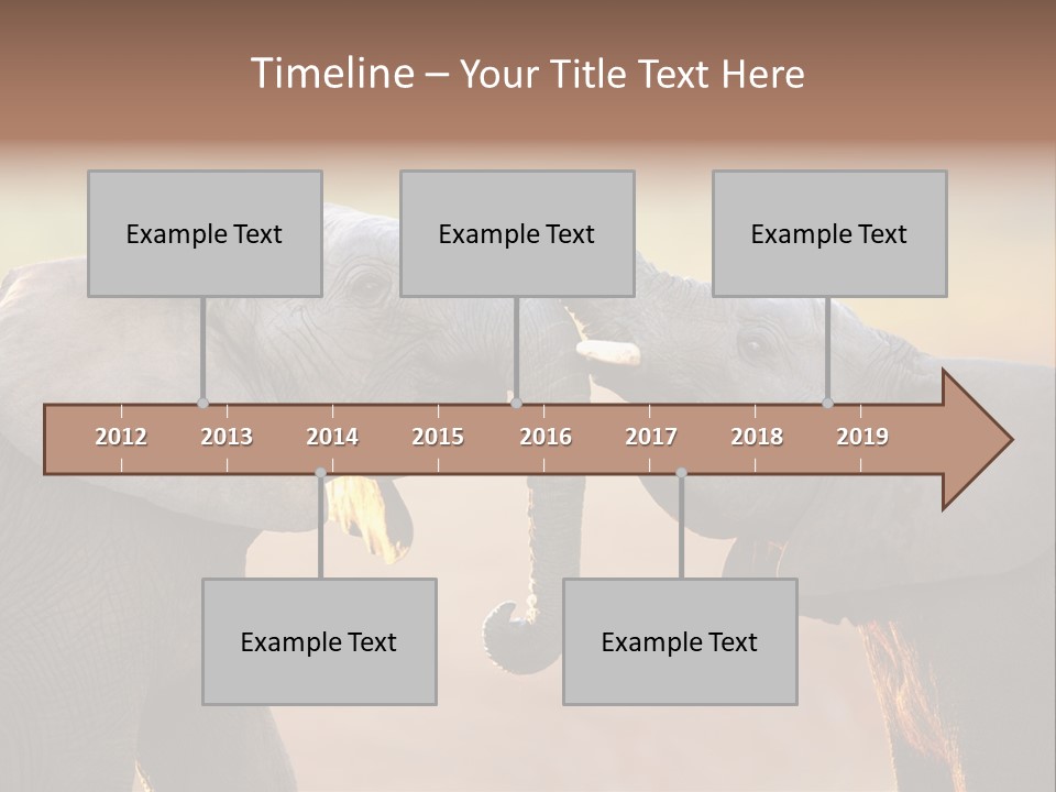 Animal Gentleness Gentle PowerPoint Template