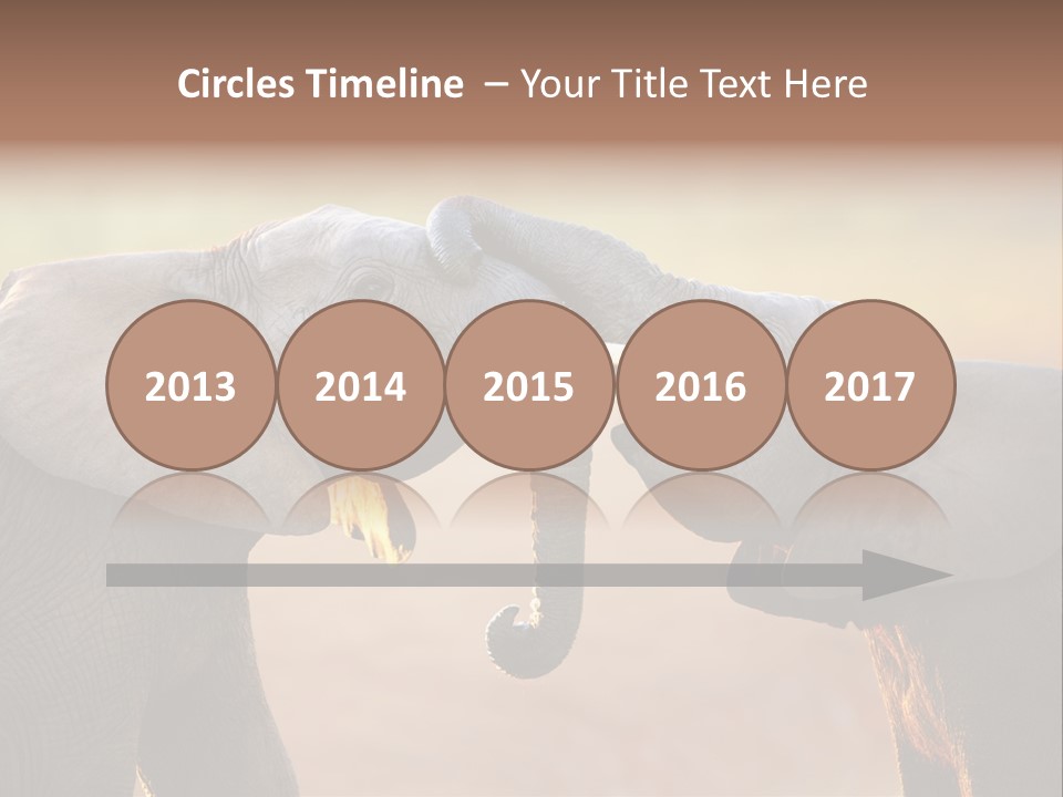 Animal Gentleness Gentle PowerPoint Template