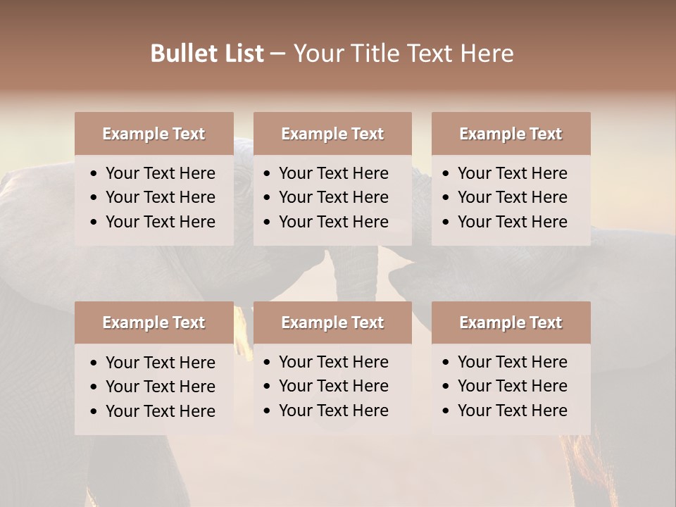 Animal Gentleness Gentle PowerPoint Template