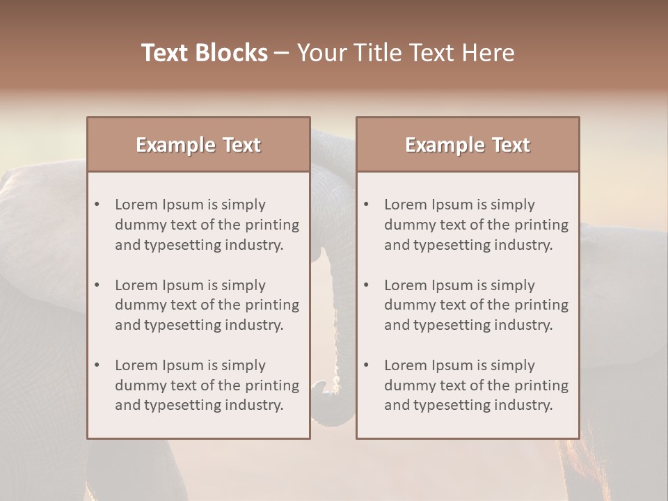 Animal Gentleness Gentle PowerPoint Template