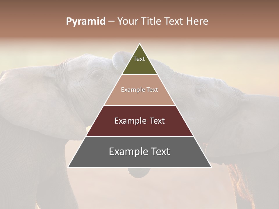 Animal Gentleness Gentle PowerPoint Template