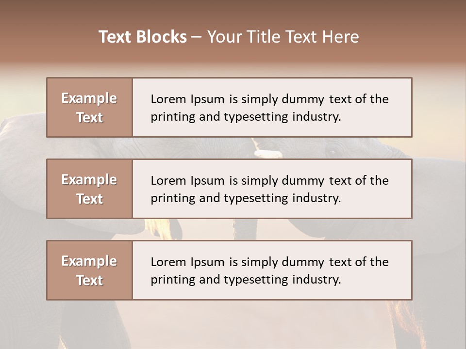 Animal Gentleness Gentle PowerPoint Template