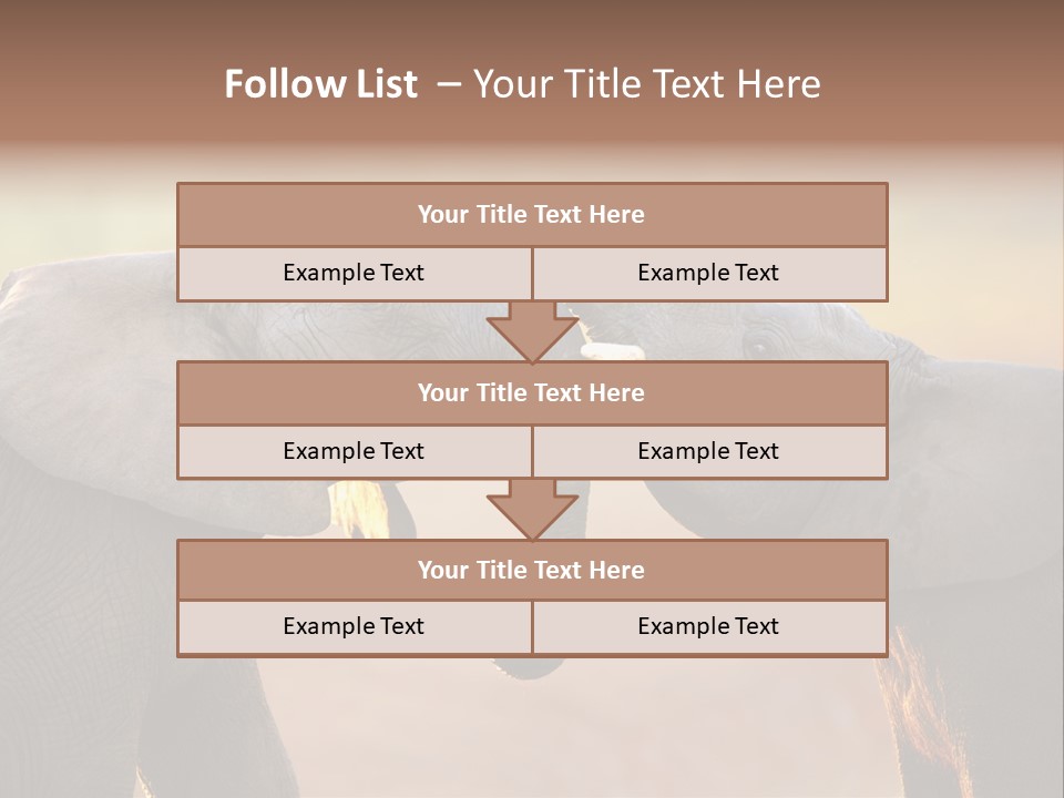 Animal Gentleness Gentle PowerPoint Template