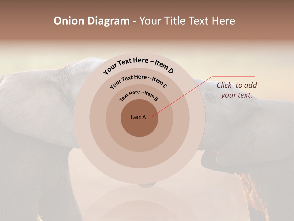 Animal Gentleness Gentle PowerPoint Template