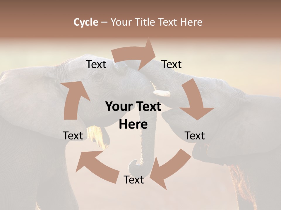 Animal Gentleness Gentle PowerPoint Template