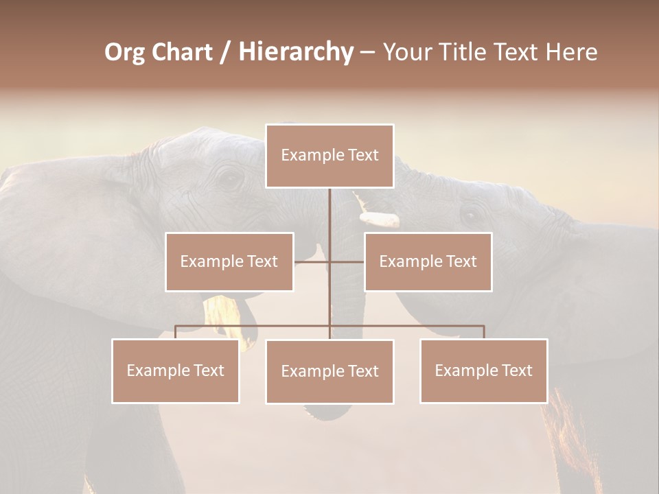 Animal Gentleness Gentle PowerPoint Template