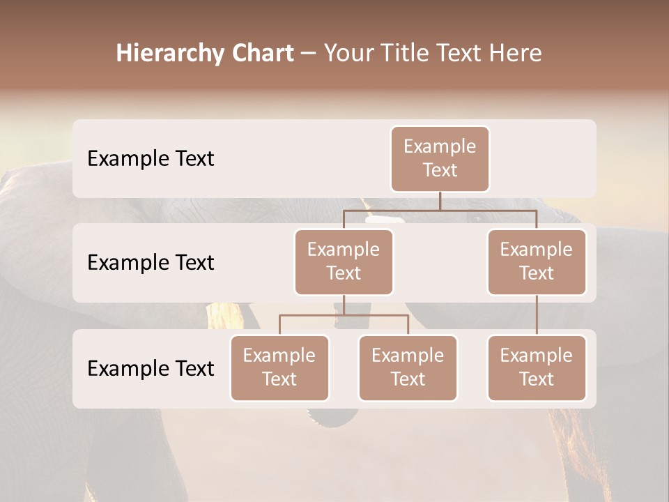 Animal Gentleness Gentle PowerPoint Template
